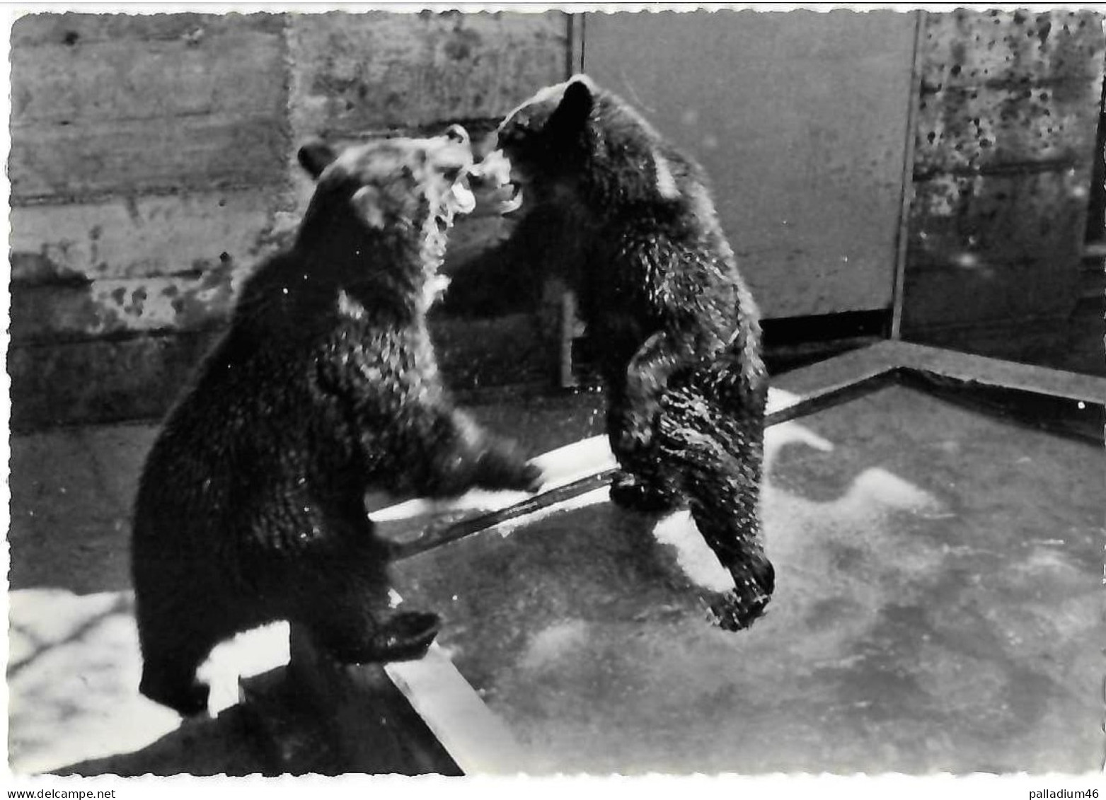 VD LAUSANNE EXPO 1964 Bern Bärengraben, Fosse Aux Ours, Bear - Perrochet No 19 - Pas Circulé - Lausanne