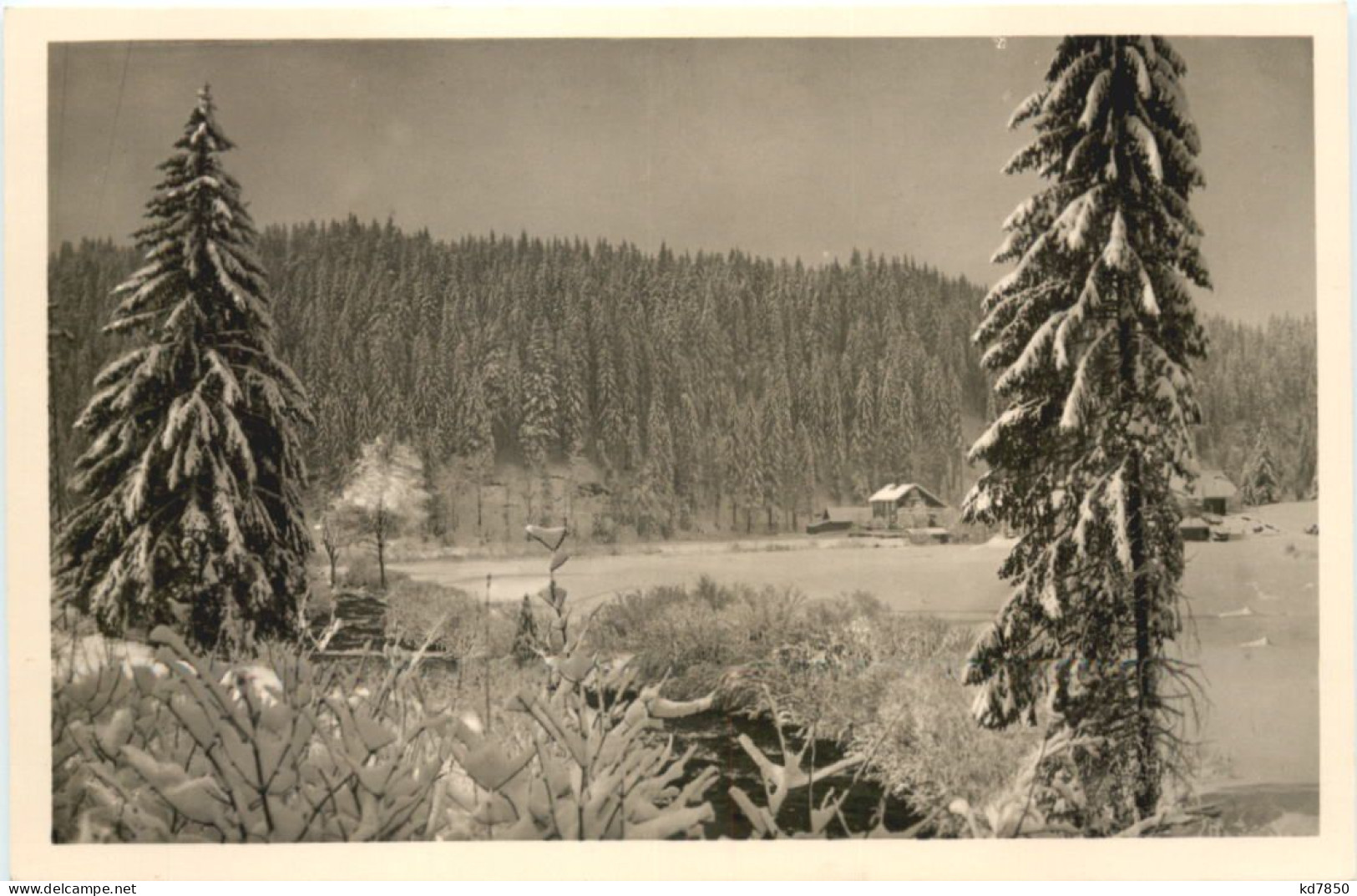 St. Blasien - Gasthof Zum Tannhäuser - Waldshut-Tiengen