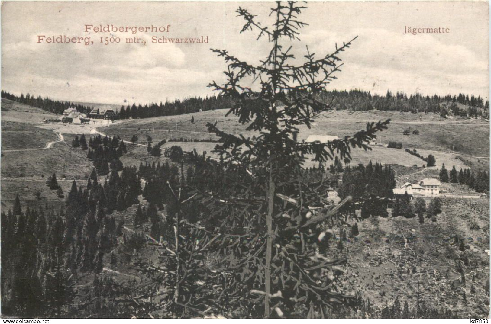 Hotel Feldbergerhof - Feldberg