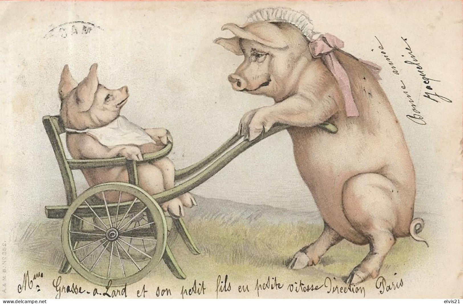 Carte Fantaisie Avec COCHONS - Varkens