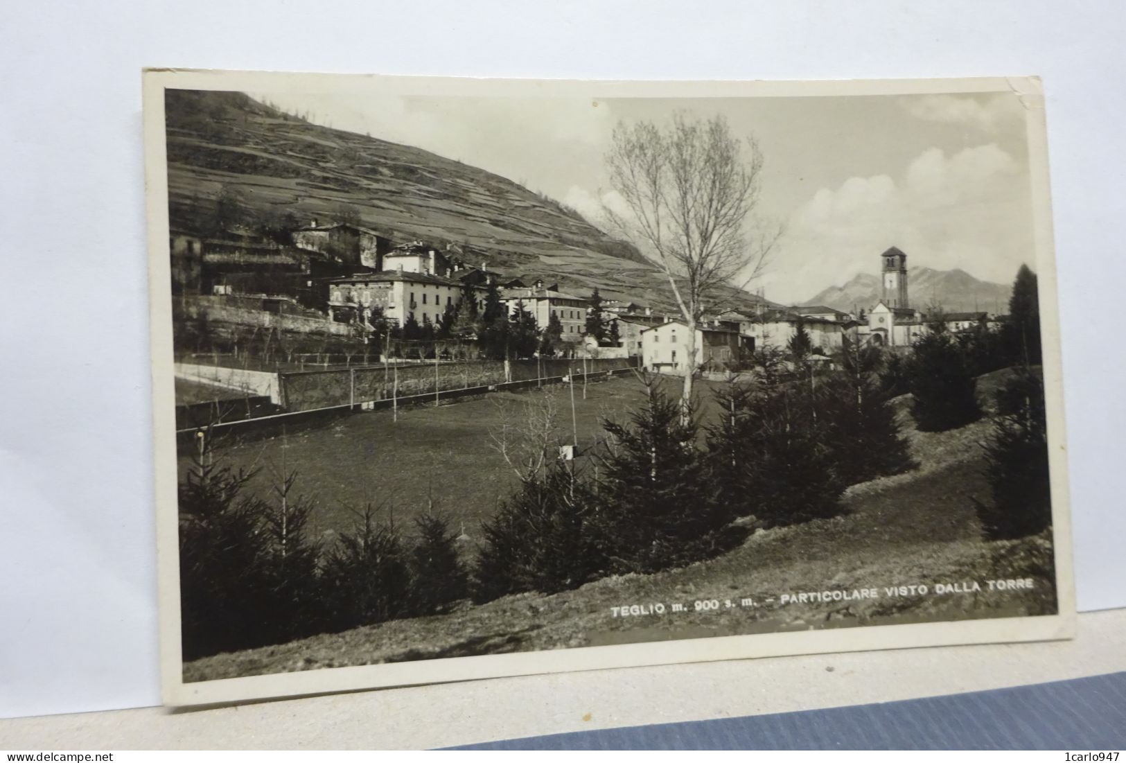 TEGLIO   --- SONDRIO  --  PARTICOLARE VISTO DALLA TORRE - Sondrio