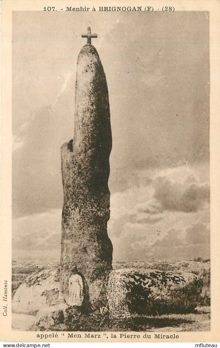 29* BRIGNOGAN     Menhir    RL40,0478 - Other & Unclassified