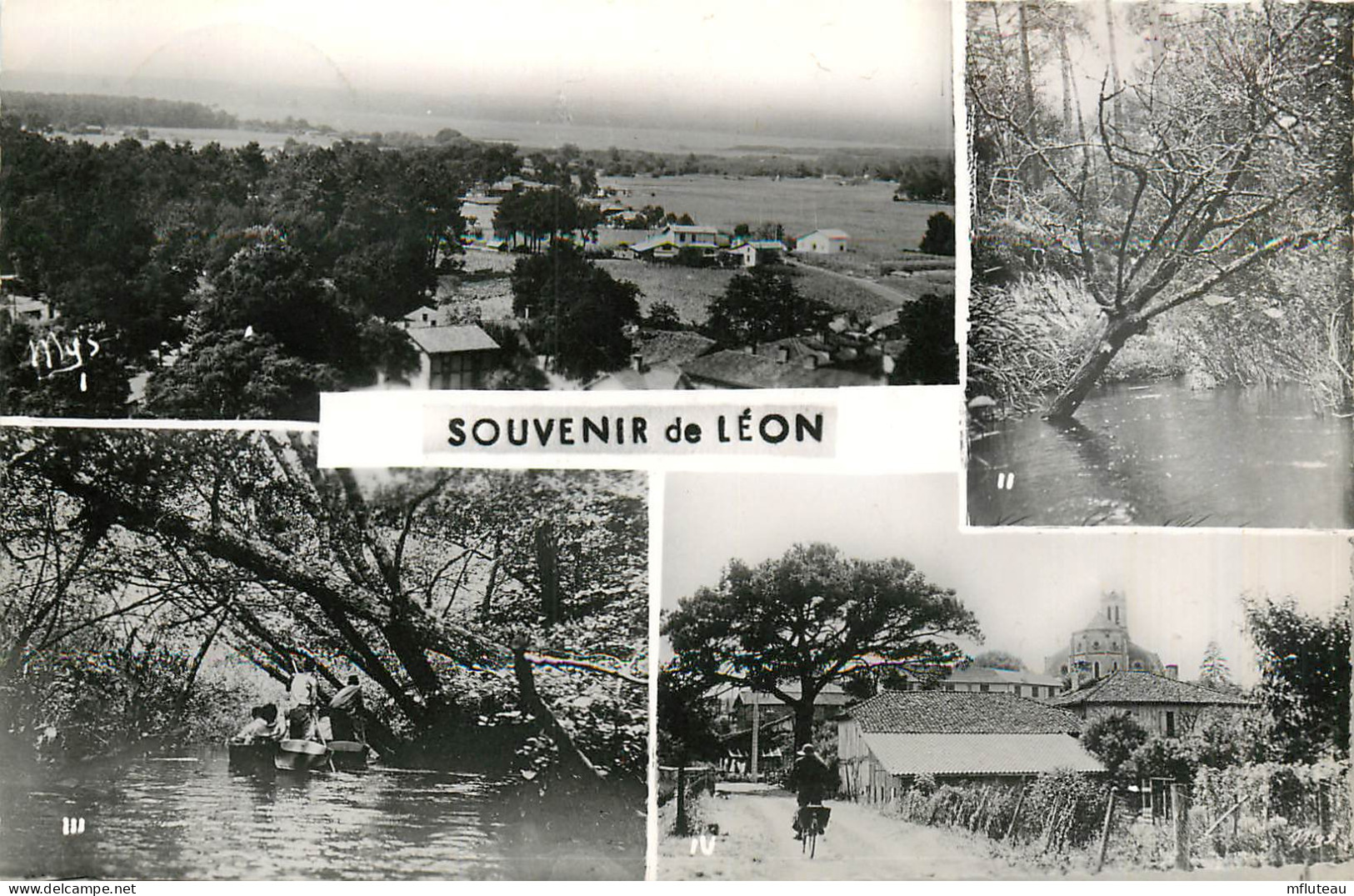 40* LEON  « souvenir » Multi-vues  (CPSM 9x14cm)      RL40,1267 - Andere & Zonder Classificatie