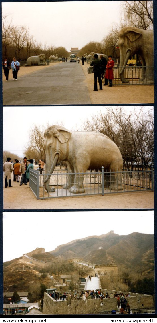 CHINE - PEKIN - 143 photos de mars 1987 - Monuments - coutumes - Exceptionnel (voir descriptif) - Année du LIEVRE