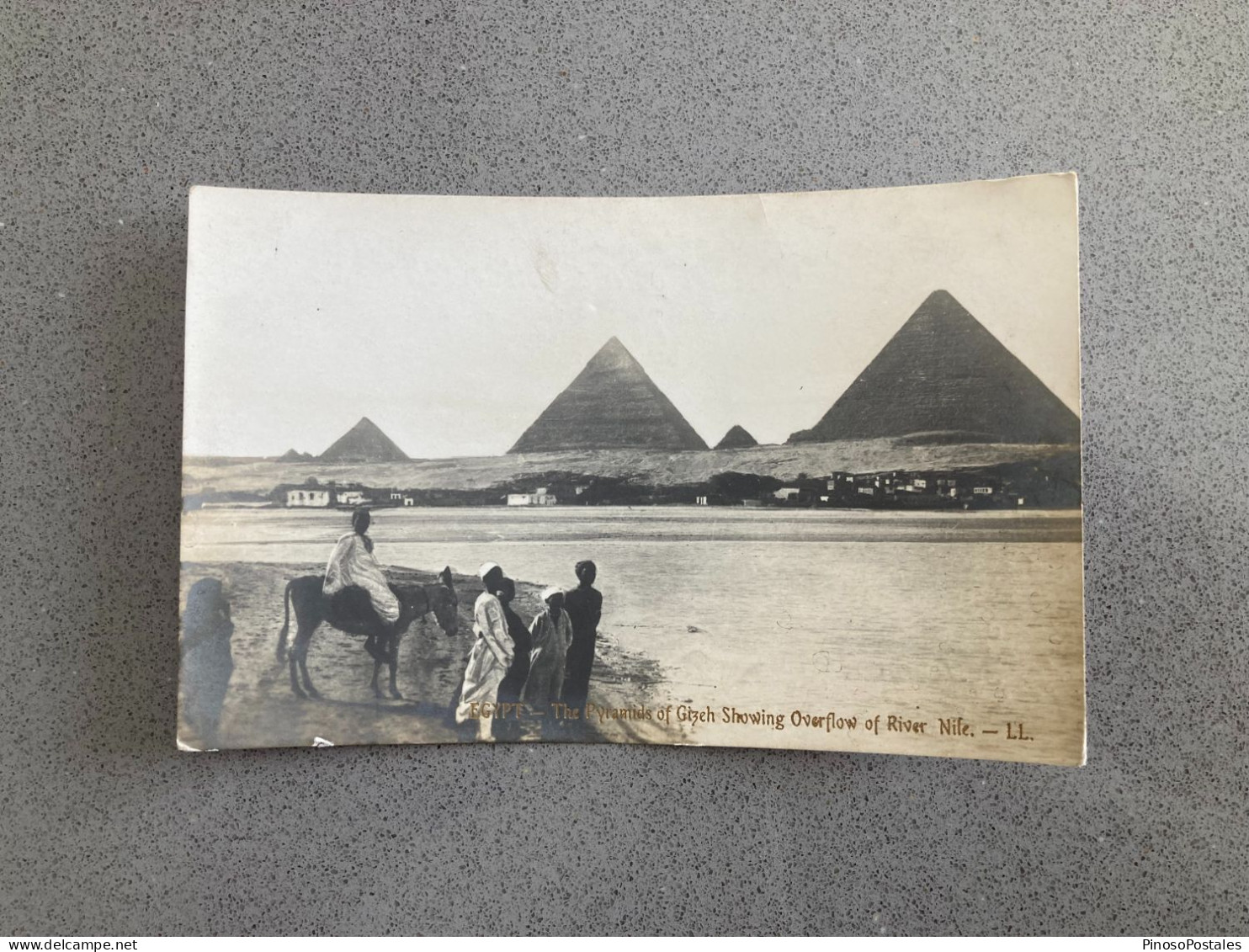 Egypt The Pyramids Of Giza Showing Overflow Of River Nile Carte Postale Postcard - Pyramiden
