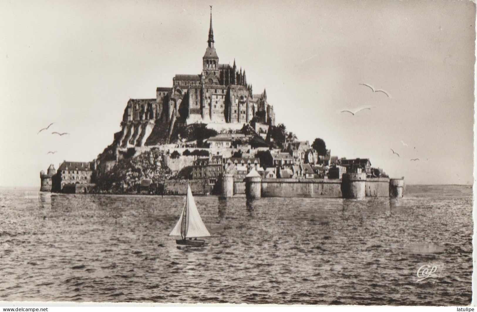 Le Mont Saint-Michel 50  Belle Carte Non Circulée Glacée De Vue Prise A Marée Haute_Voilier - Le Mont Saint Michel