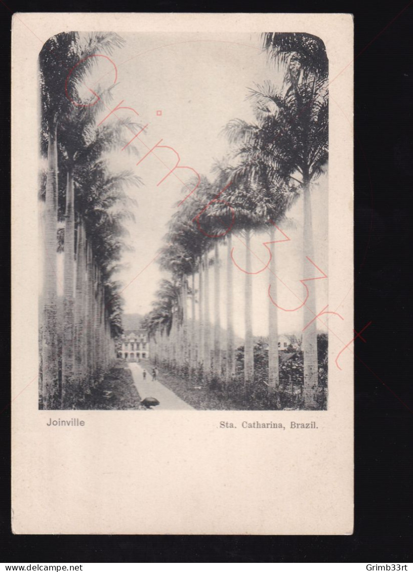 Brazil, Sta. Catharina - Joinville - Postkaart - Autres