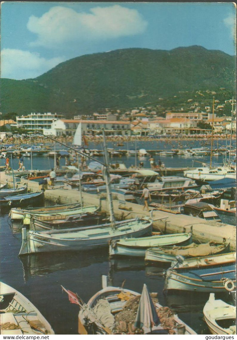 Cavalaire - Le Port - (P) - Comps-sur-Artuby