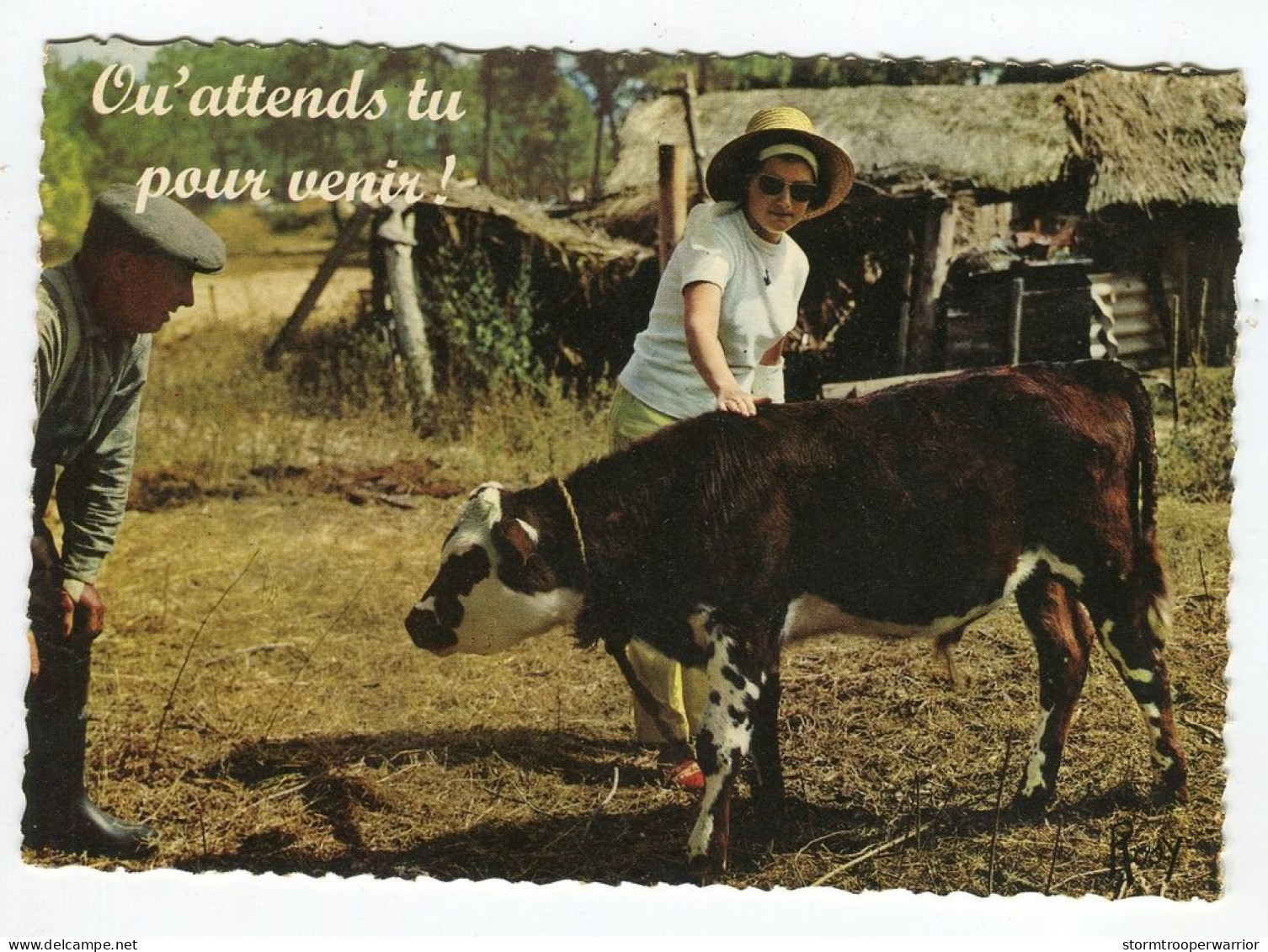 Vaches - Qu'attends Tu Pour Venir ! - Vache - Humor