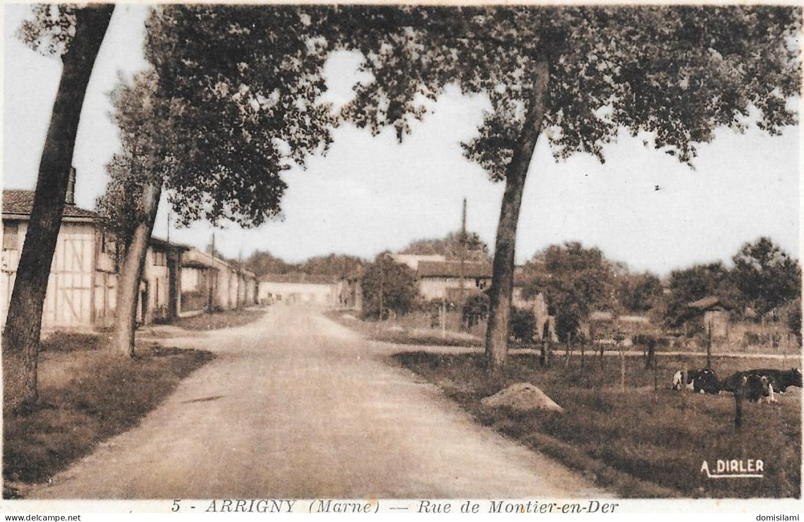 ARRIGNY.route De Montier En Der - Sonstige & Ohne Zuordnung