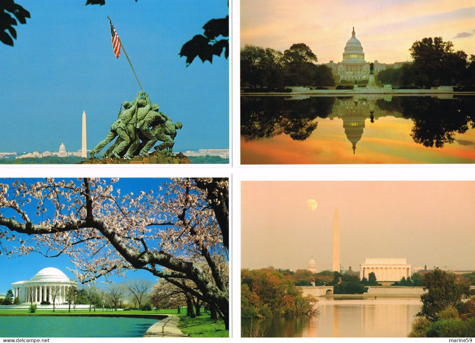 MA 210 - WASHINGTON - Le LOT De 10 Cartes - Sonstige & Ohne Zuordnung