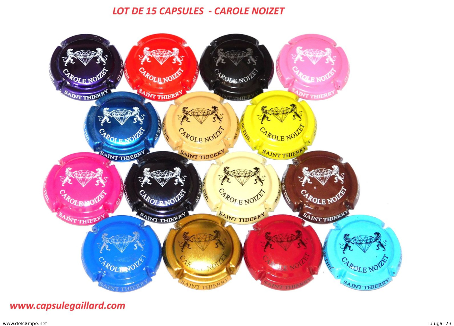 Lot De 15 Capsules De Champagne  CAROLE NOIZET - Collections