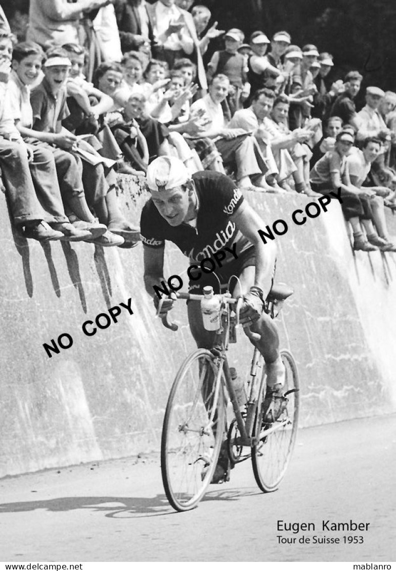 PHOTO CYCLISME REENFORCE GRAND QUALITÉ ( NO CARTE ) EUGEN KAMBER 1953 - Radsport