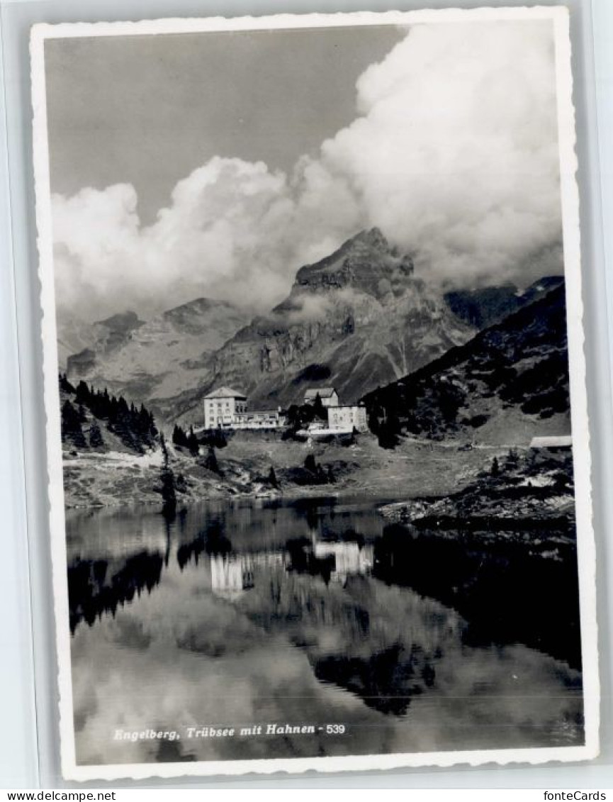 10720190 Engelberg OW Engelberg Truebsee Hahnen * Engelberg - Autres & Non Classés