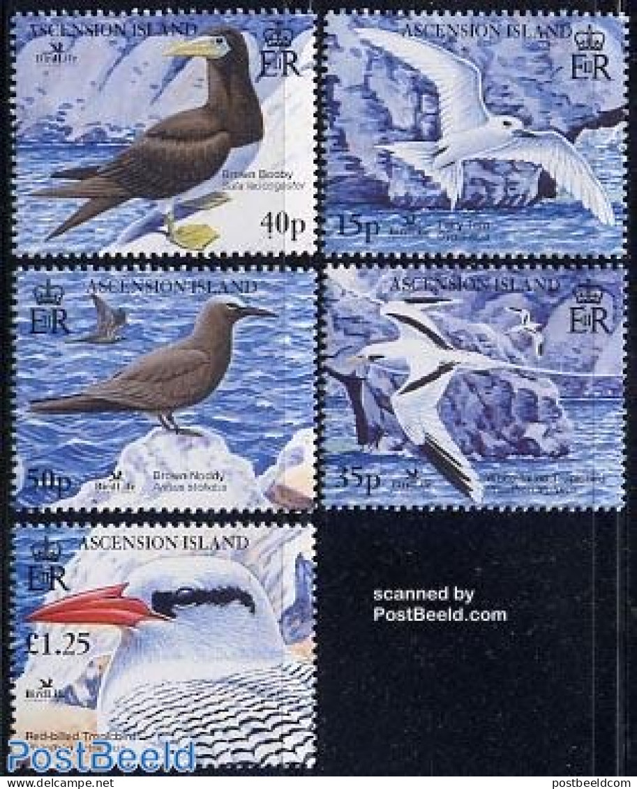 Ascension 2005 Birdlife 5v, Mint NH, Nature - Bird Life Org. - Birds - Ascension (Ile De L')