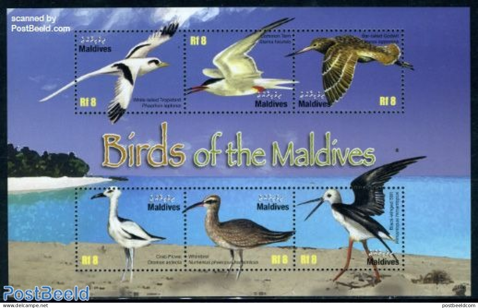 Maldives 2010 Birds Of The Maldives 6v M/s, Mint NH, Nature - Birds - Maldives (1965-...)