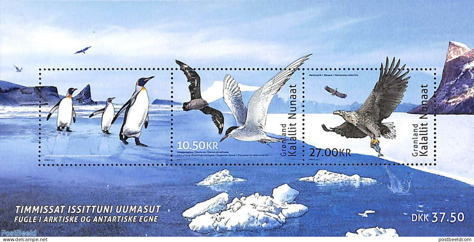 Greenland 2017 Birds S/s, Joint Issue With French Antarctica, Mint NH, Nature - Various - Birds - Penguins - Joint Iss.. - Neufs