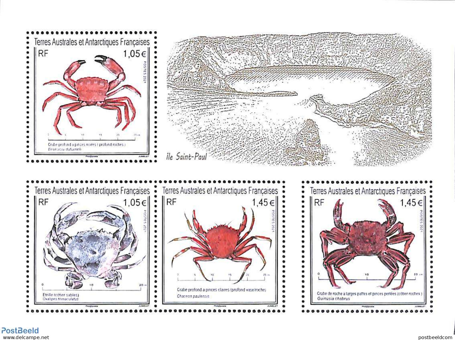 French Antarctic Territory 2021 Crabs 4v M/s, Mint NH, Nature - Shells & Crustaceans - Crabs And Lobsters - Neufs