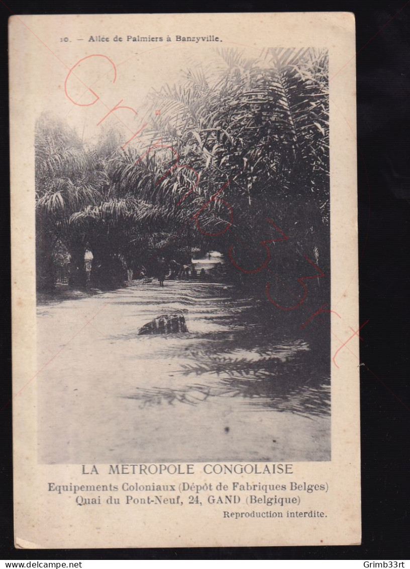 Banzyville - Allée De Palmiers - La Metropole Congolaise - Equipements Coloniaux, Gand - Postkaart - Belgian Congo