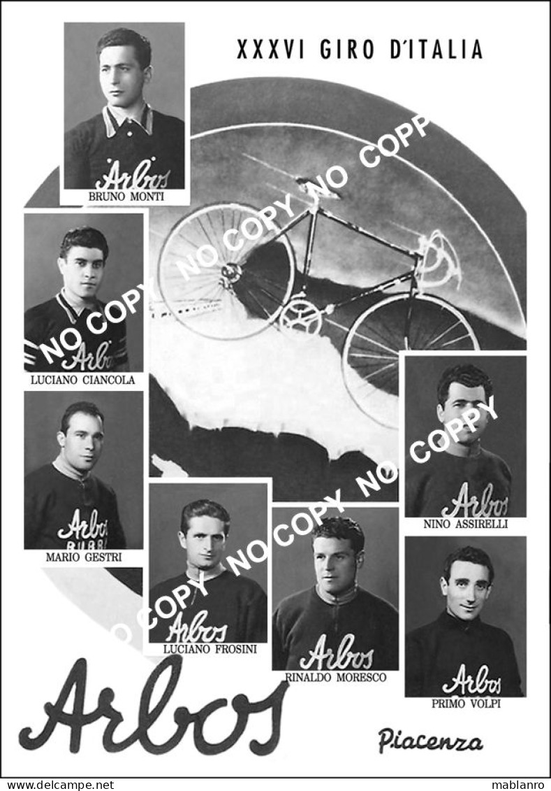 PHOTO CYCLISME REENFORCE GRAND QUALITÉ ( NO CARTE ) GROUPE TEAM ARBOS 1953 - Radsport