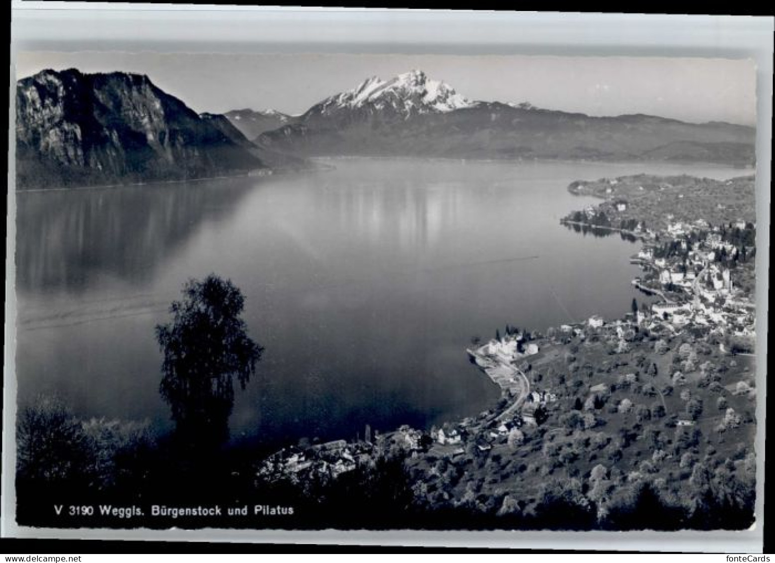 10719677 Weggis Vierwaldstaettersee Weggis Buergenstock Pilatus X Weggis - Autres & Non Classés