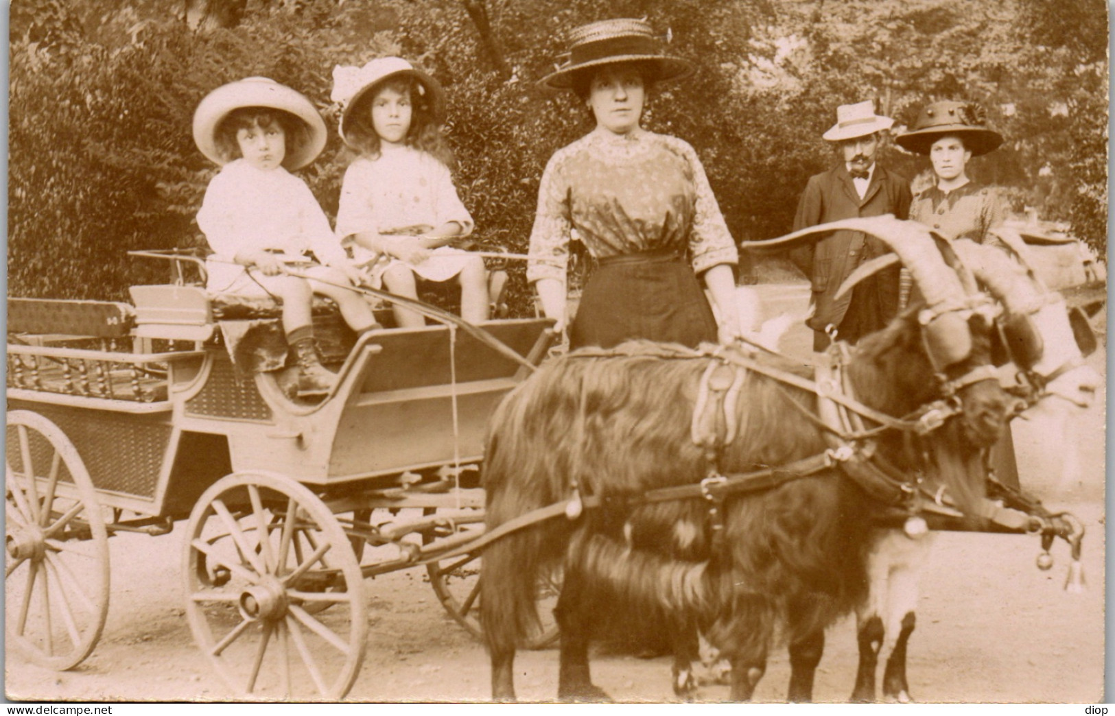 CP Carte Photo D&#039;&eacute;poque Photographie Vintage Mode Attelage Ch&egrave;vres Carriole  - Couples