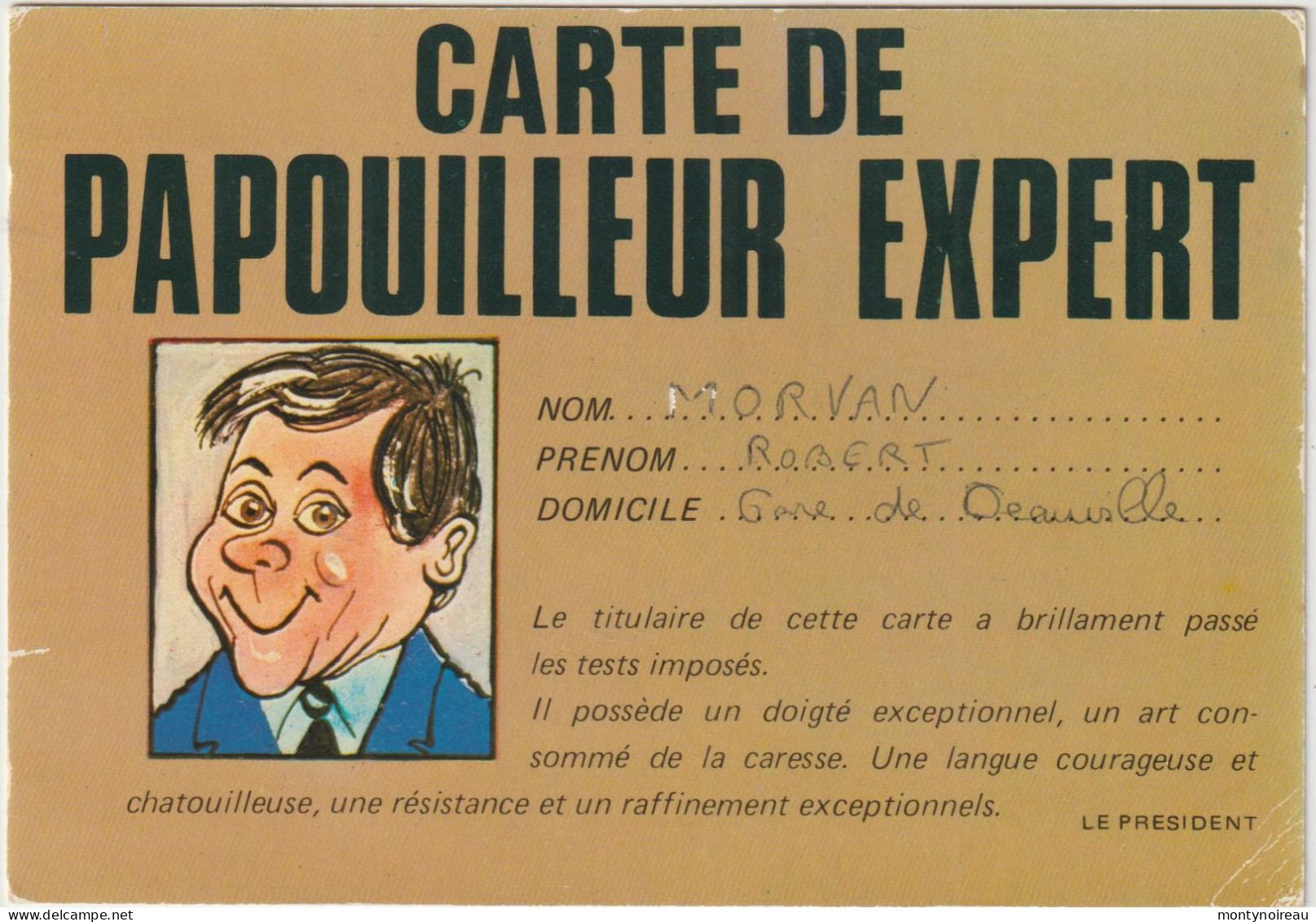 Humour :  Illustrateur  , Carte De  Papouilleur  Expert - Humour