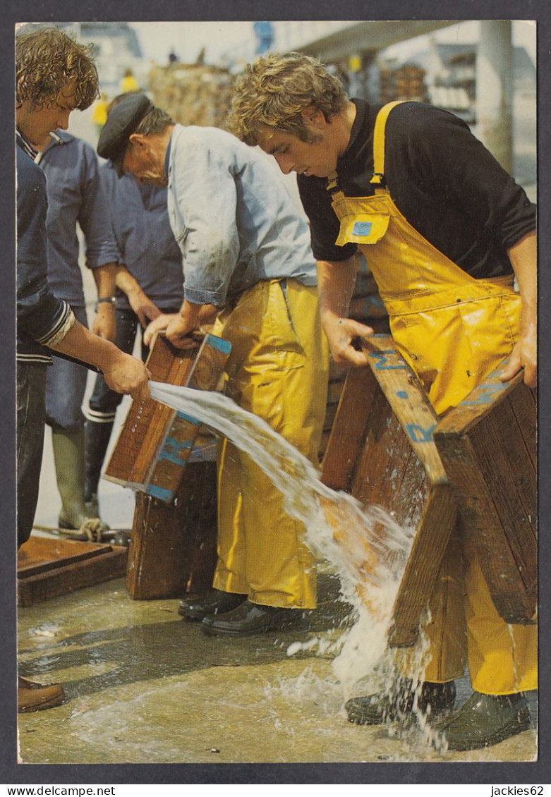 117417/ Pêche En Bretagne, Après Le Déchargement Des Poissons, Nettoyage Des Caisses - Pêche