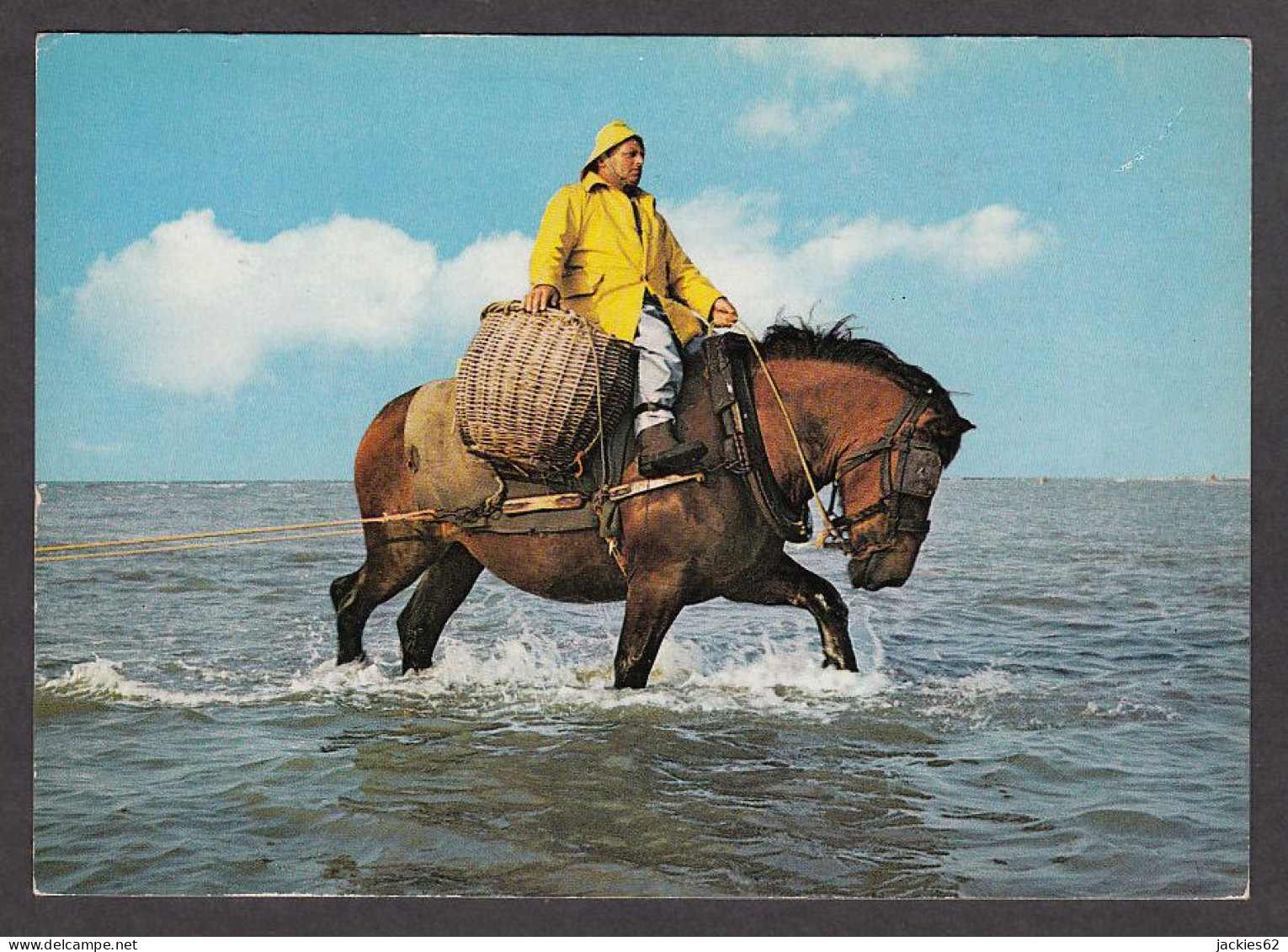 068074/ Côte Belge, Pêcheur De Crevettes - Pesca