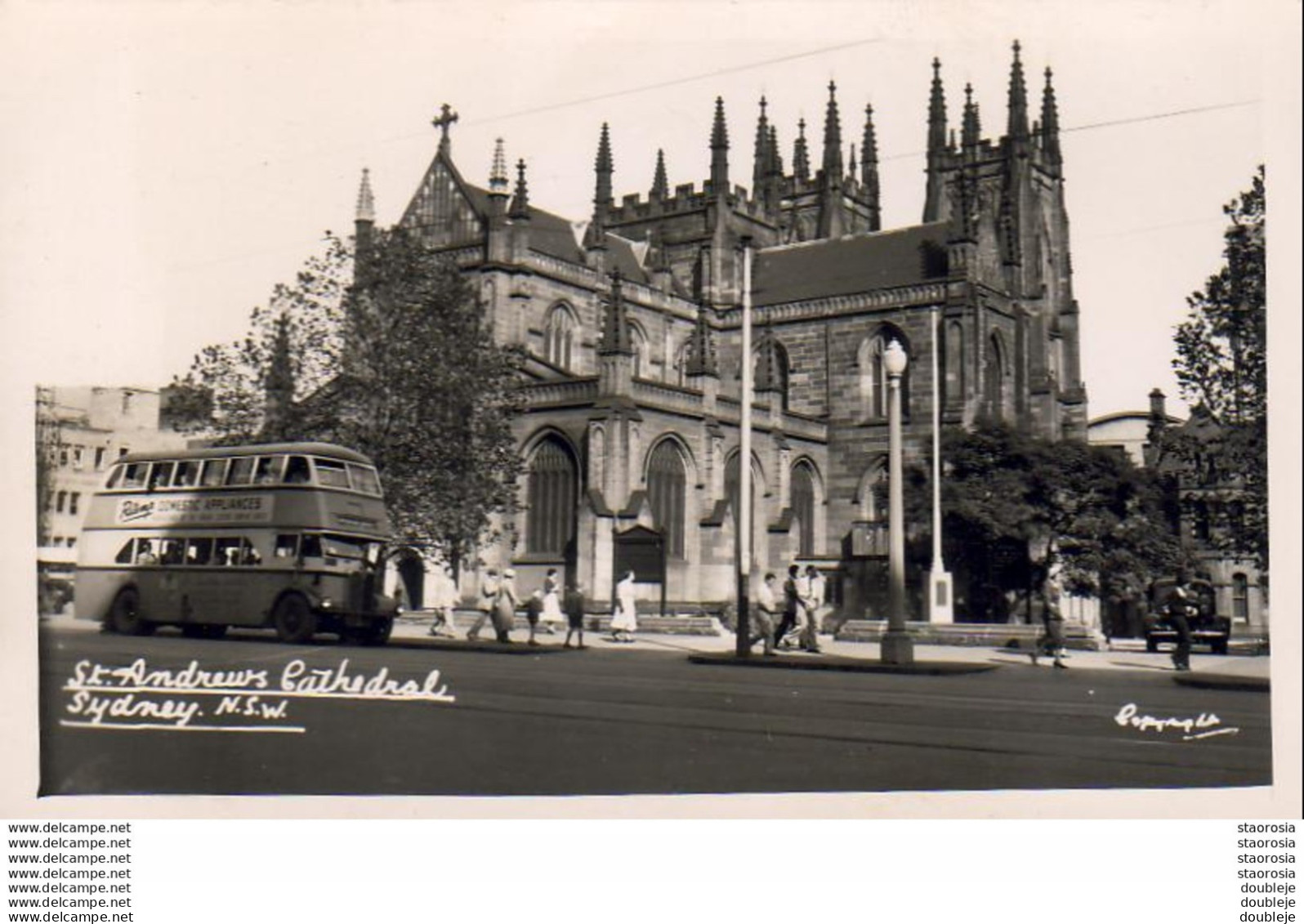 SYDNEY  (N.S.W)   St Andrew&amp;amp Amp Amp Amp Acute S Cathedral   ( Real Photo ) - Sydney