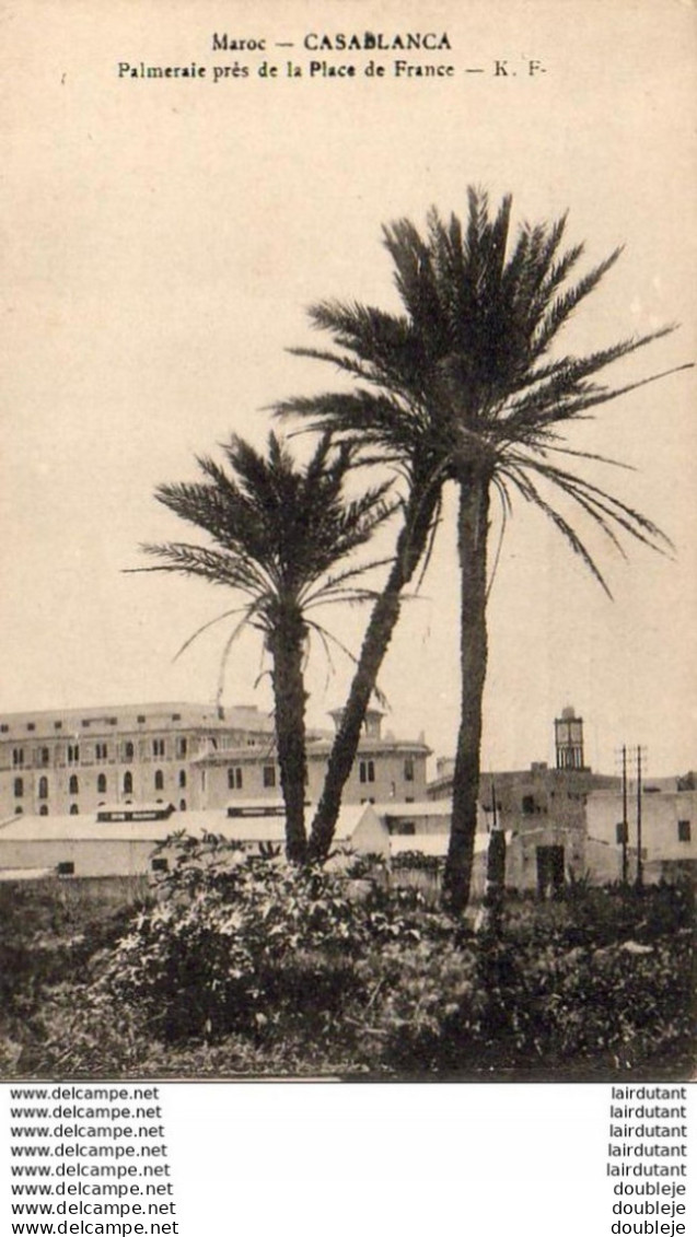 MAROC  CASABLANCA  Palmeraie Près De La Place De France  ..... - Casablanca