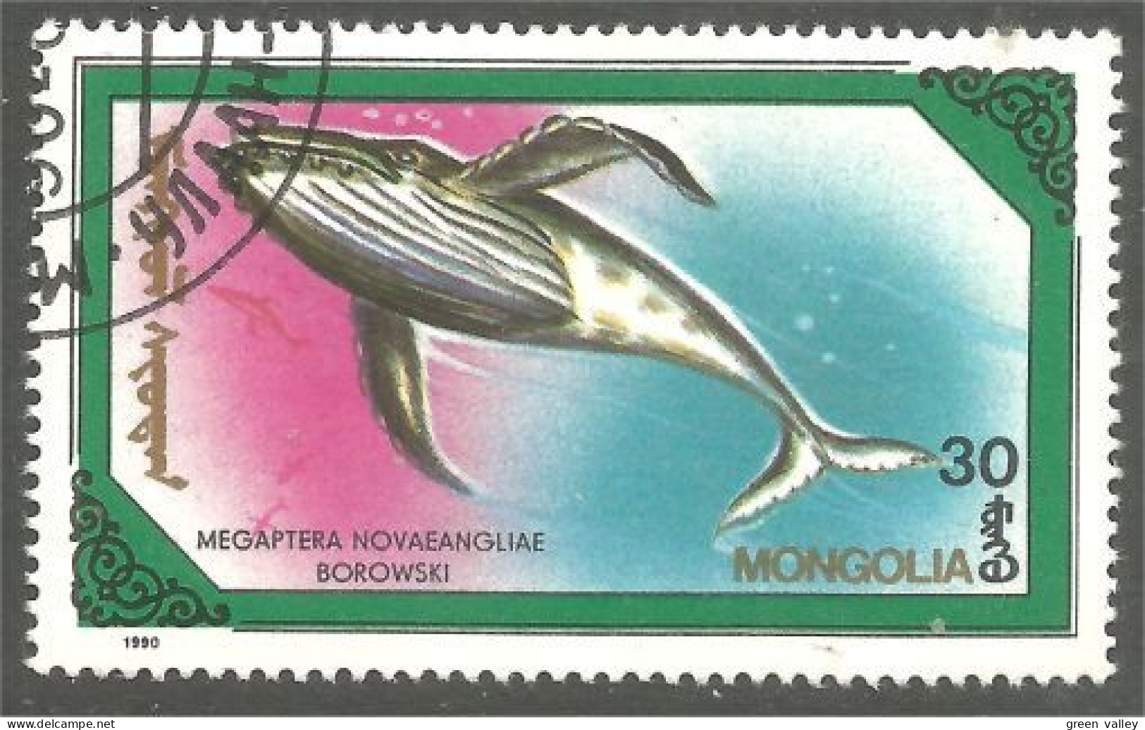 XW01-1557 Mongolia Baleine Whale Wal Ballena - Baleines