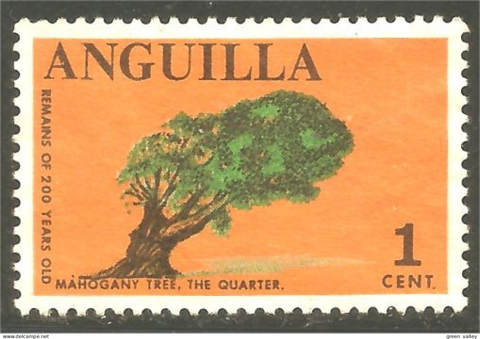 XW01-1464 Anguilla Mahogany Tree Arbre Baum No Gum - Bäume