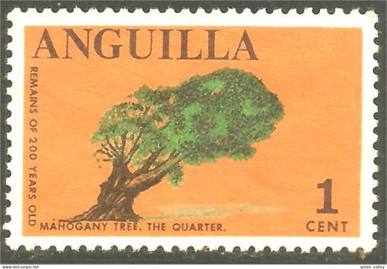 XW01-1432 Anguilla Mahogany Tree Arbre Baum No Gum  - Bäume