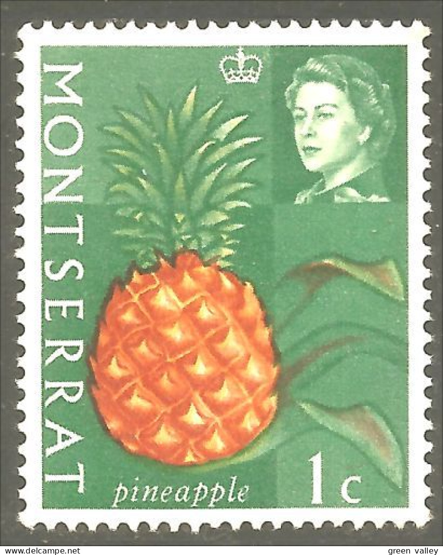 XW01-1378 Montserrat Fruit Frucht Pineapple Ananas Pina No Gum - Obst & Früchte