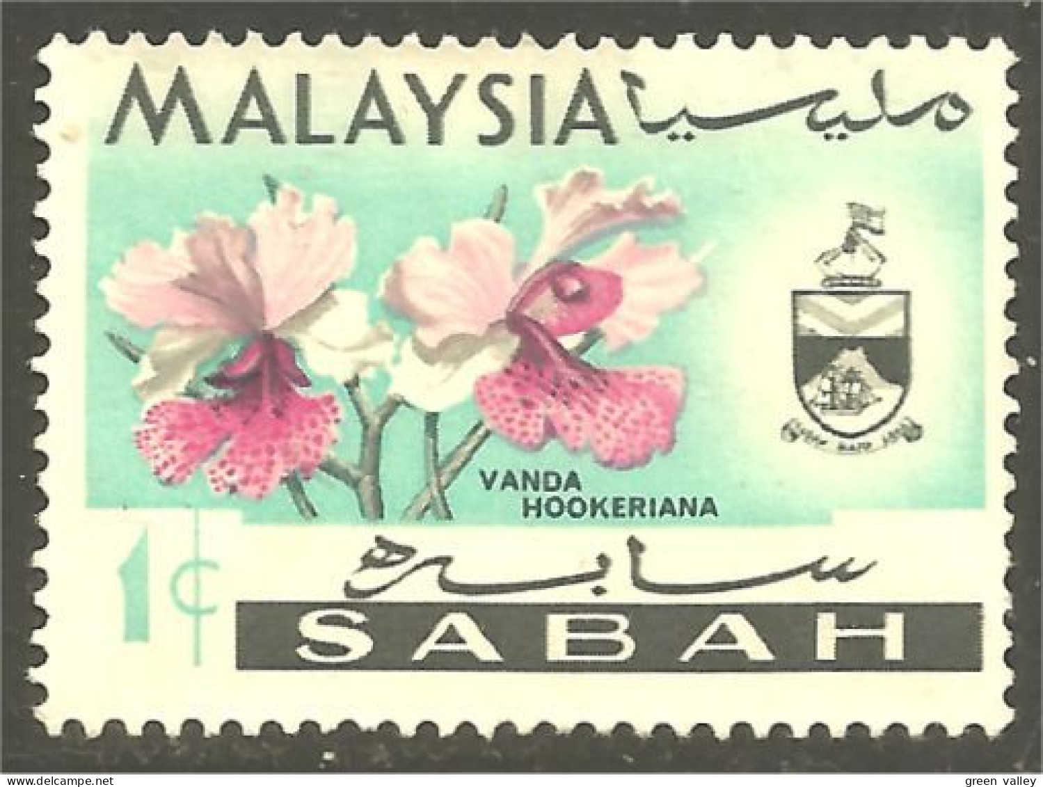 XW01-1344 Malaysia Sabah Orchidée Orchid Orkid Orchidea Orquidea Vanda Hookeriana - Orchidées