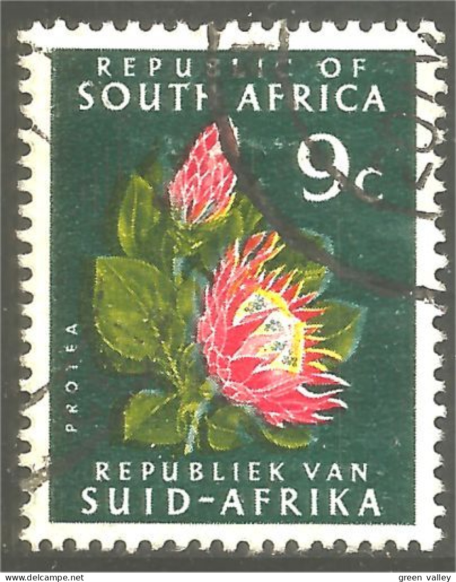 XW01-1265 South Africa Fleur Flower Blume Protea - Usados