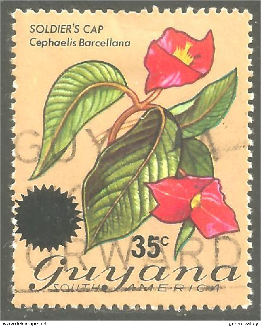 XW01-1272 Guyana 35c Orchidée Orchid Orkid Orchidea Orquidea Soldier's Cap - Guyana (1966-...)