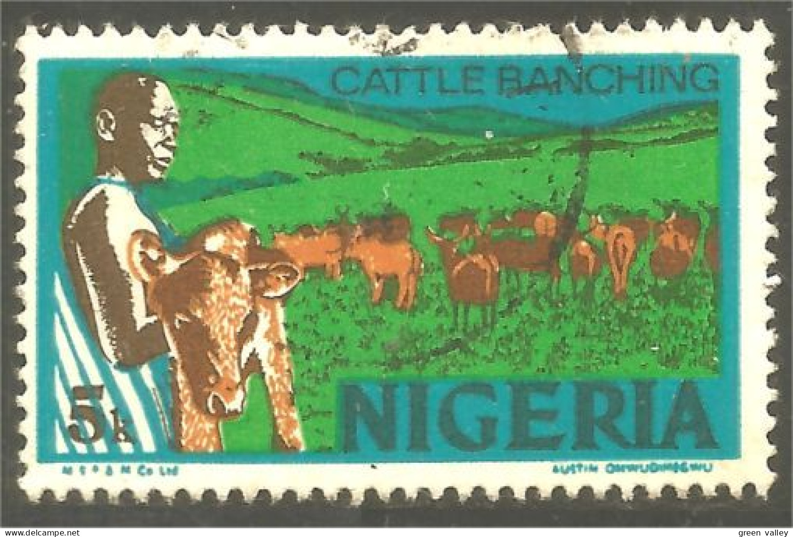 XW01-1248 Nigeria Cattle Ranching Elevage Bétail Vache Cow Kuh Vaca Vacca Koe - Nigeria (1961-...)