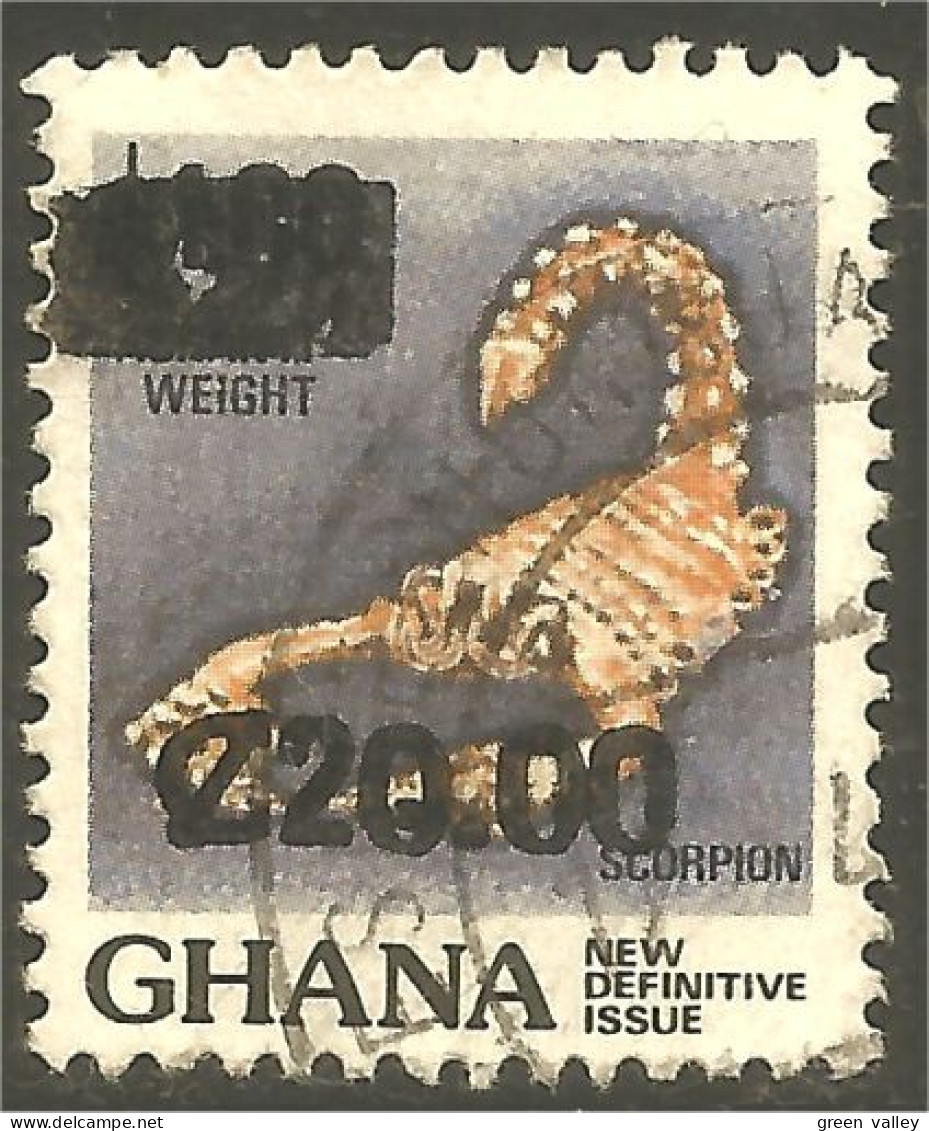 XW01-1231 Ghana Scorpion Insect Insecte - Andere & Zonder Classificatie