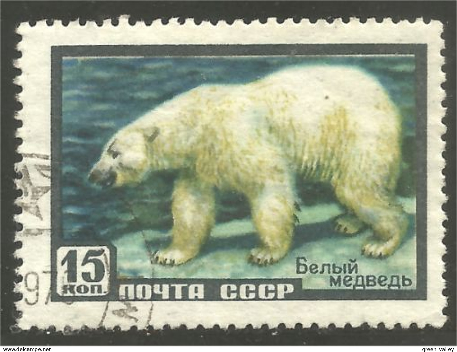 XW01-1109 Russie Ours Blanc Polar Bear Polaire Bar Orso Oso Soportar - Osos