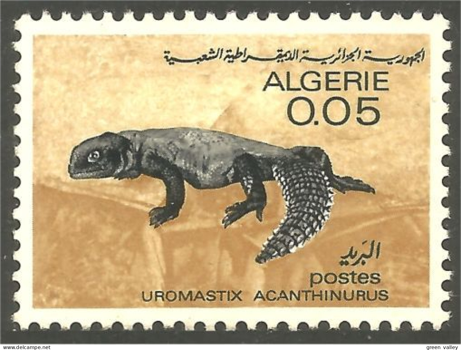 XW01-1055 Algérie Lézard Lizzard Iguane Iguana Reptile - Autres & Non Classés