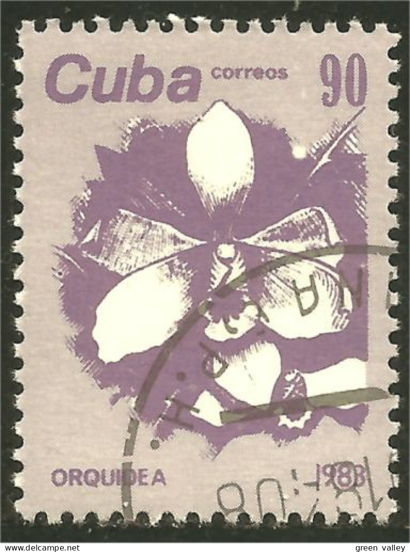 XW01-1976 Cuba Flower Fleur Orchidée Orchid Orkid Orquidea Orchidea - Andere & Zonder Classificatie