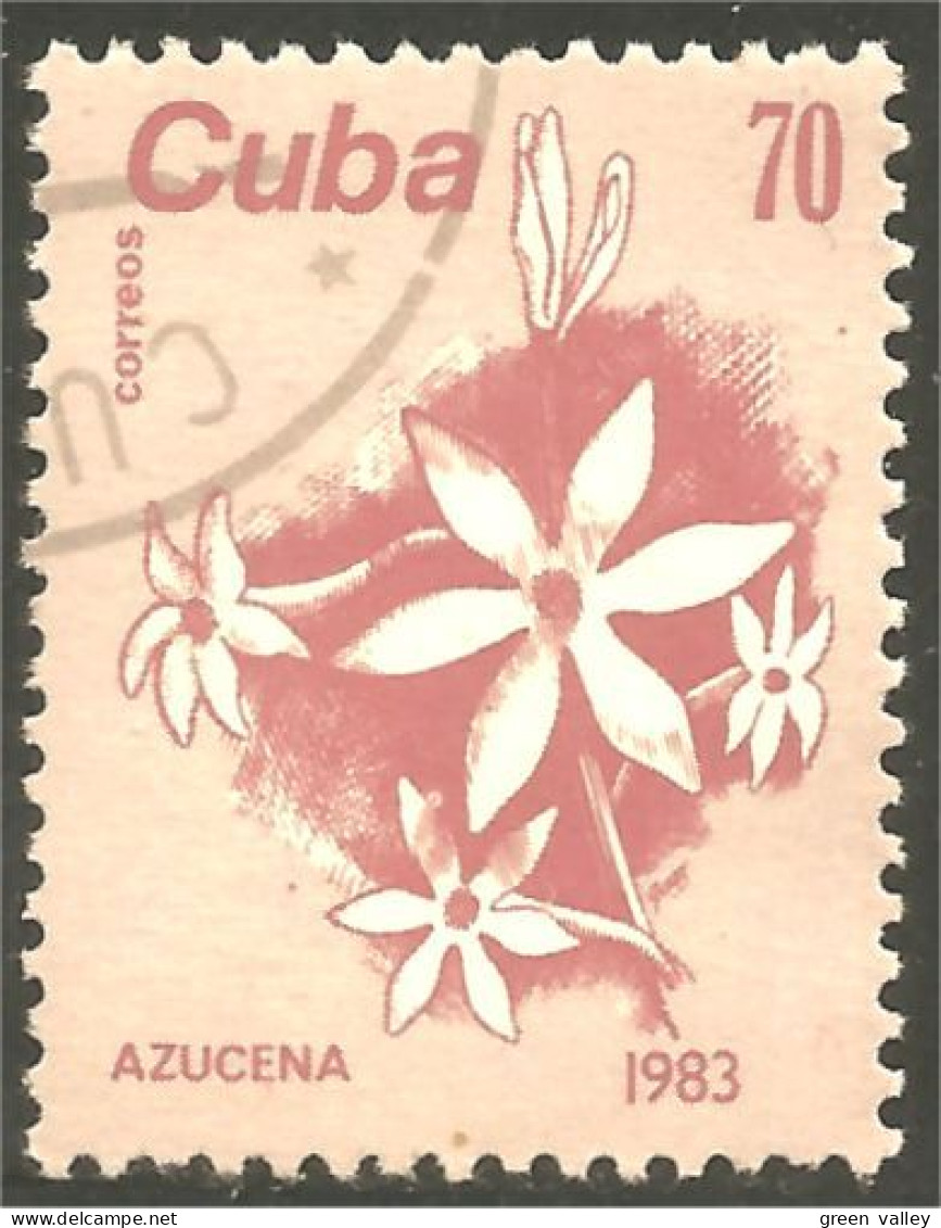 XW01-1971 Cuba Flower Fleur Blume Azucena Flower Fleur Blume Lis Lily Lilie Giglio Lirio - Autres & Non Classés