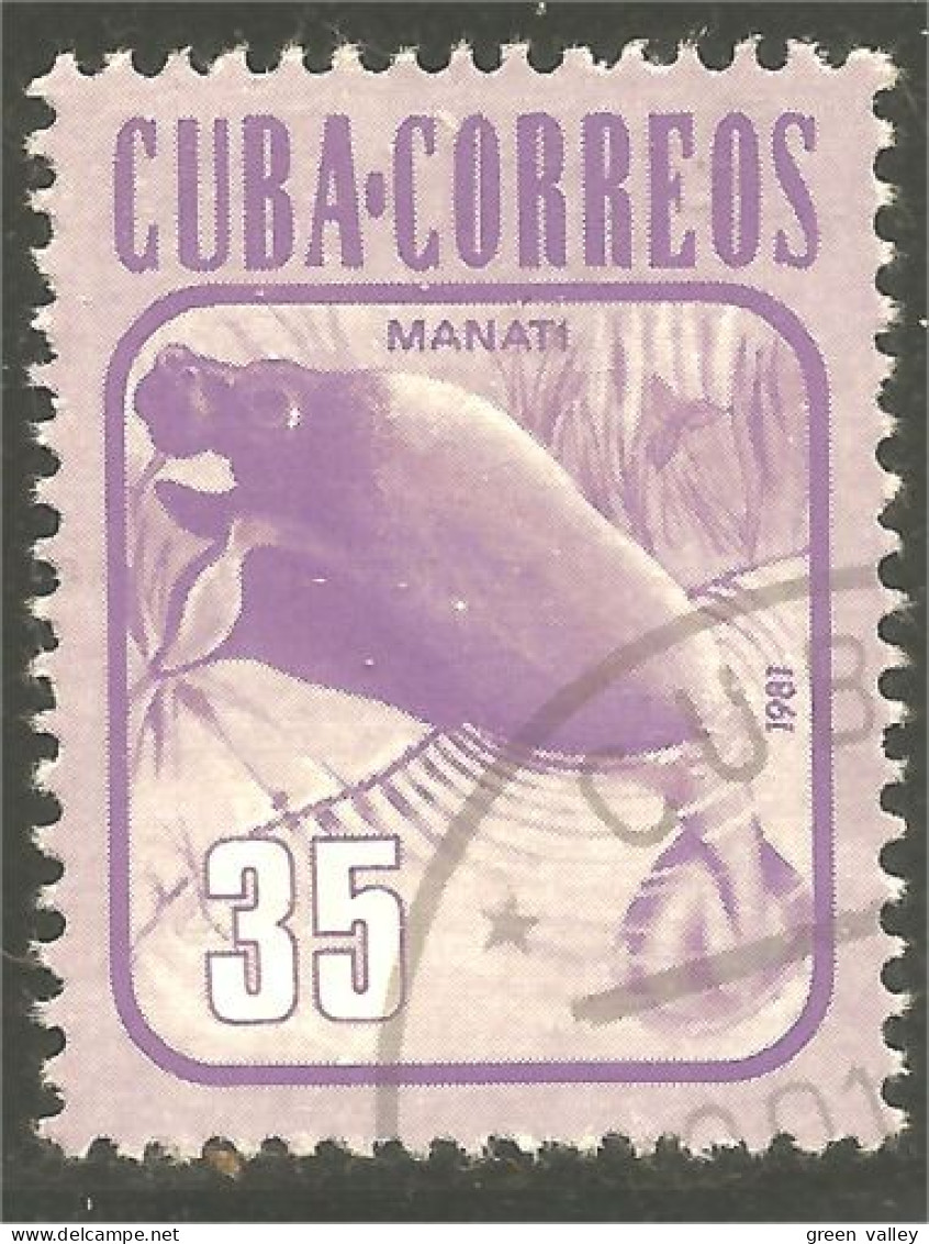 XW01-1966 Cuba Manatee Lamantin Manati Seekuh - Sonstige & Ohne Zuordnung