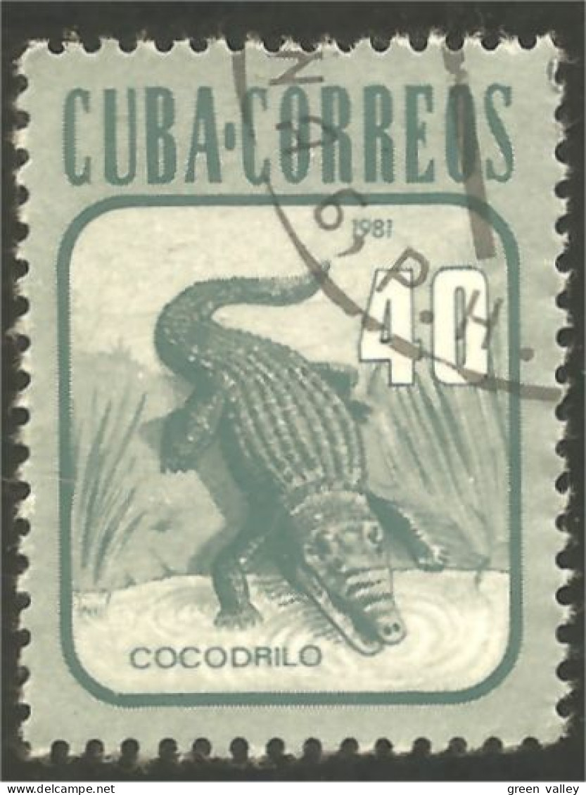 XW01-1943 Cuba Crocodile Cocodrilo Krokodil Coccodrillo - Autres & Non Classés