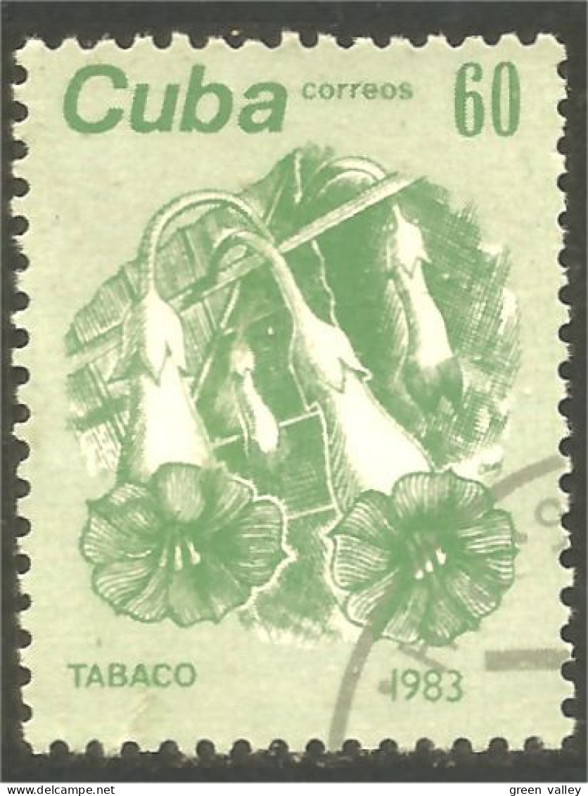 XW01-1935 Cuba Tabaco Tabac Tobacco Tabak - Tabac