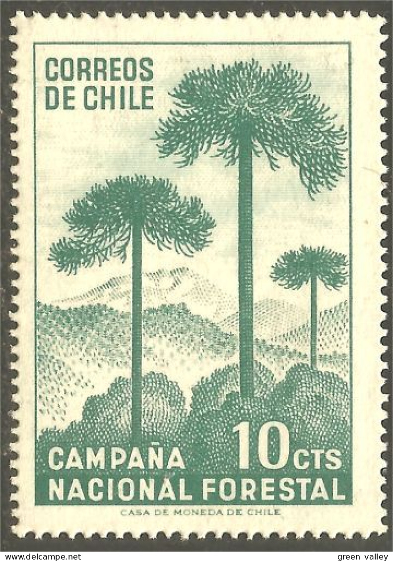 XW01-1844 Chile Arbre Tree Arbor Baum Pin Pine MNH ** Neuf SC - Bäume