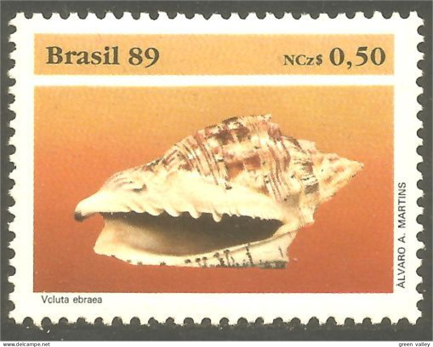 XW01-1832 Brazil 1989 Conch Conque Coquillage Shell MNH ** Neuf SC - Unused Stamps