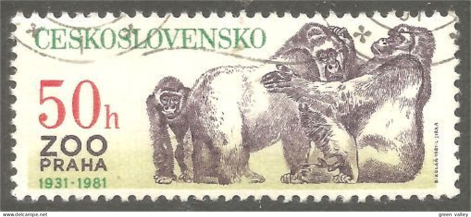 XW01-1757 Czechoslovakia Gorille Singe Monkey Gorilla Affe Scimmia Mono - Gorilas